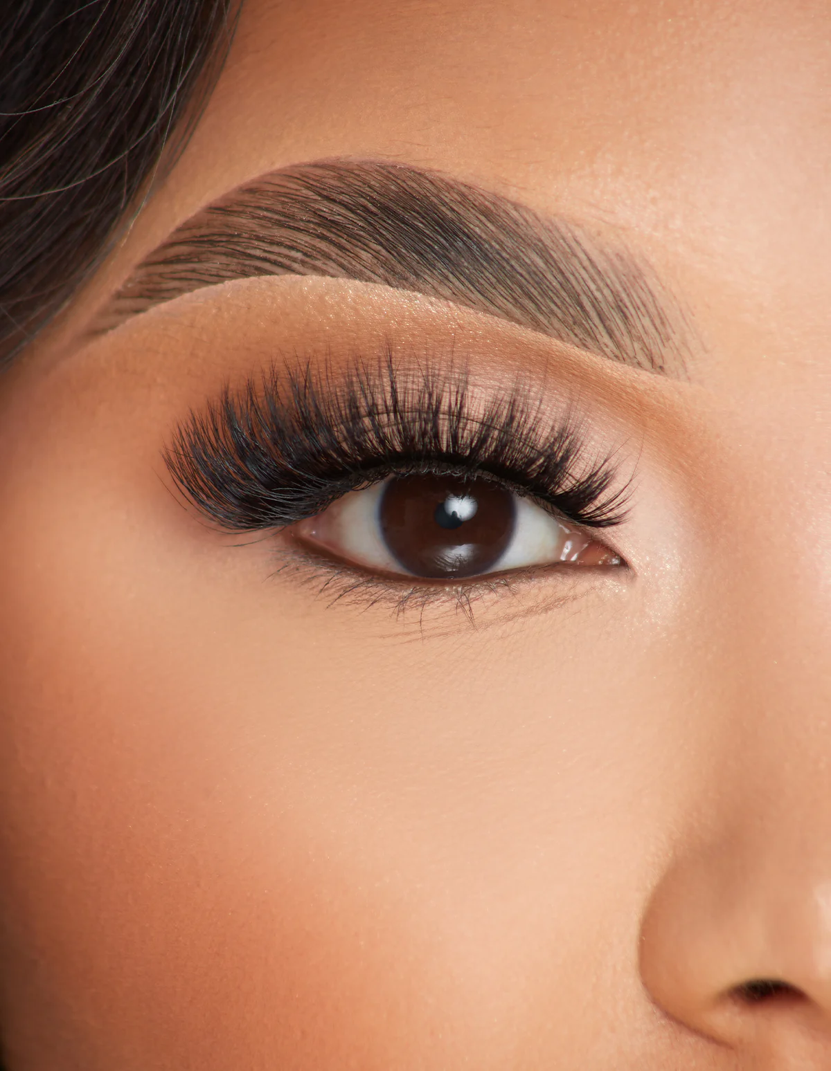 Lashes - Lashed In Love