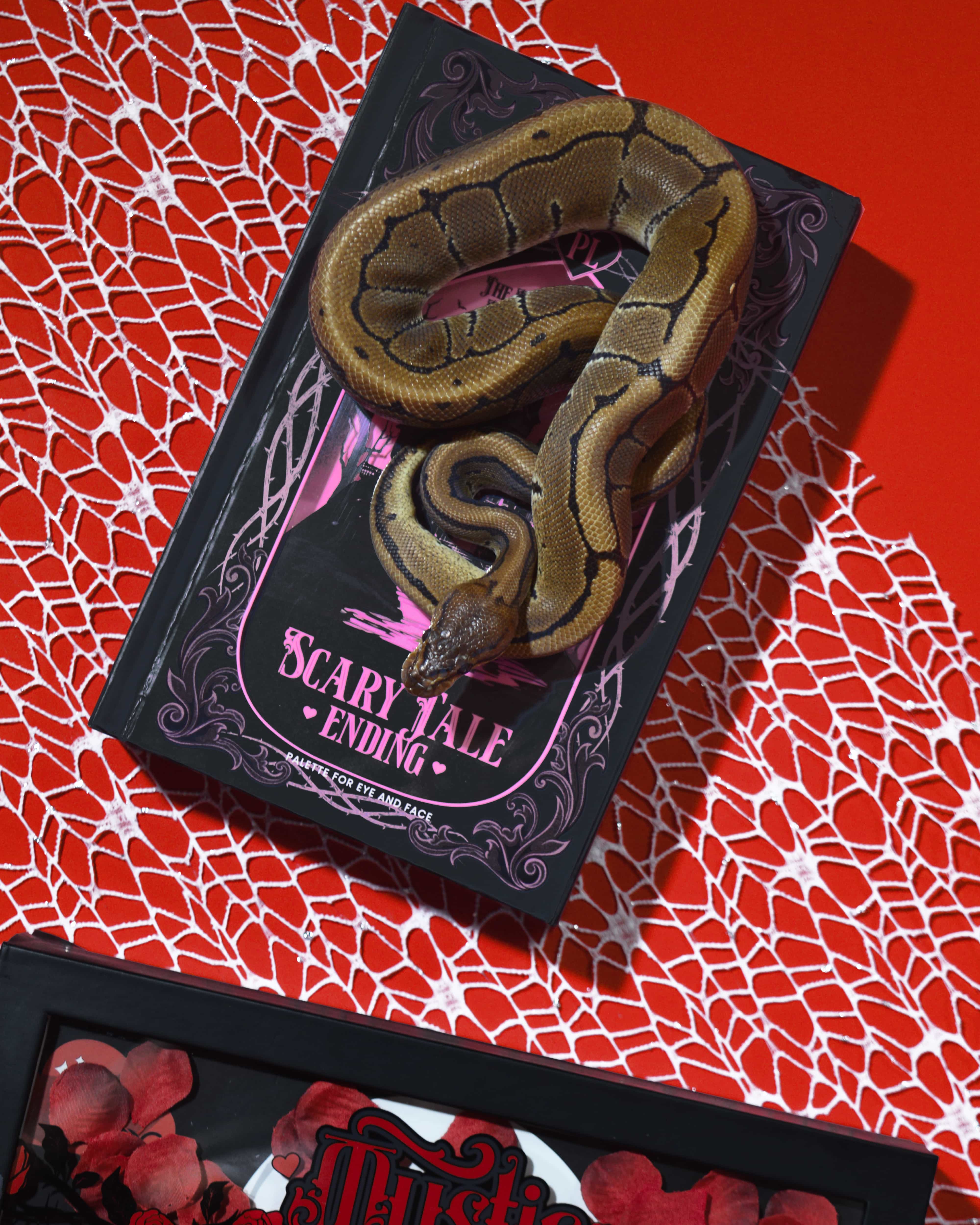 Scary Tale Ending Halloween Palette - Image 9